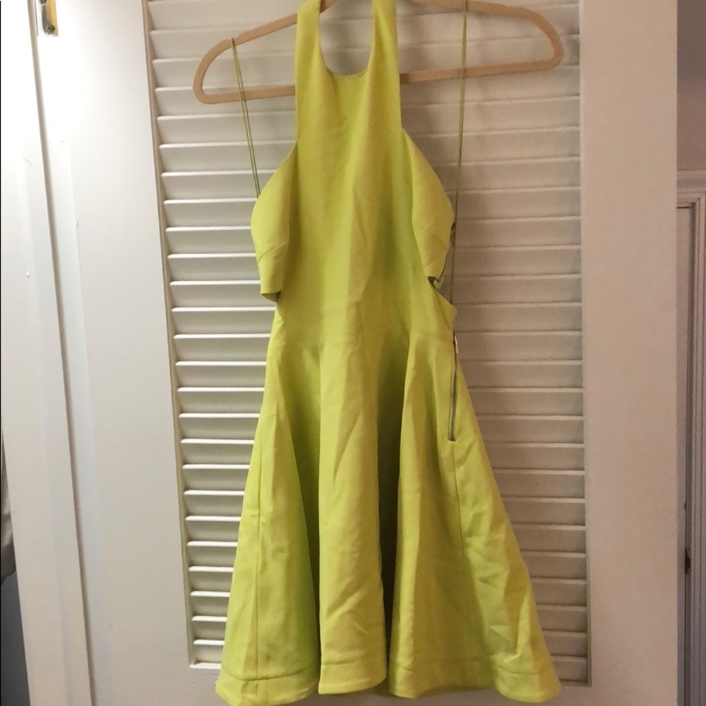 Elizabeth and James cutout cocktail dress